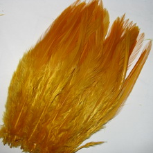 Strong rooster saddle gold sunburst